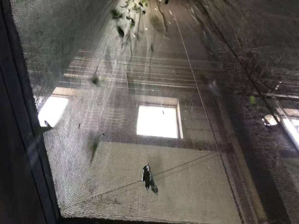 Tencha Matcha Air Conveying