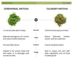 Ceremonial vs. Culinary Grade Matcha: The Ultimate B2B Sourcing Guide