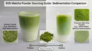 Mesh Size Matters: How Particle Granularity Affects Matcha Solubility and Mouthfeel