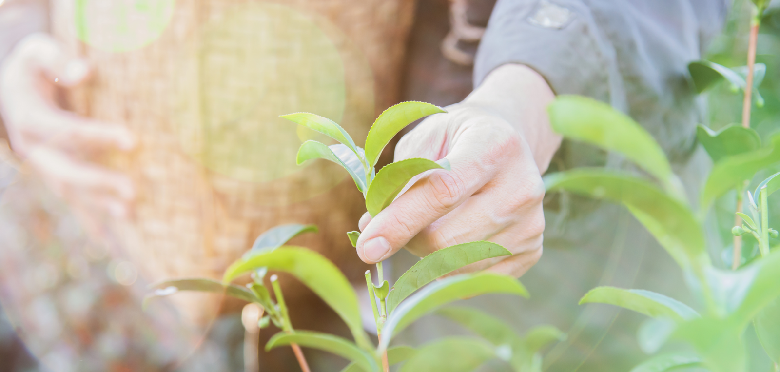 微信图片_20260301160801